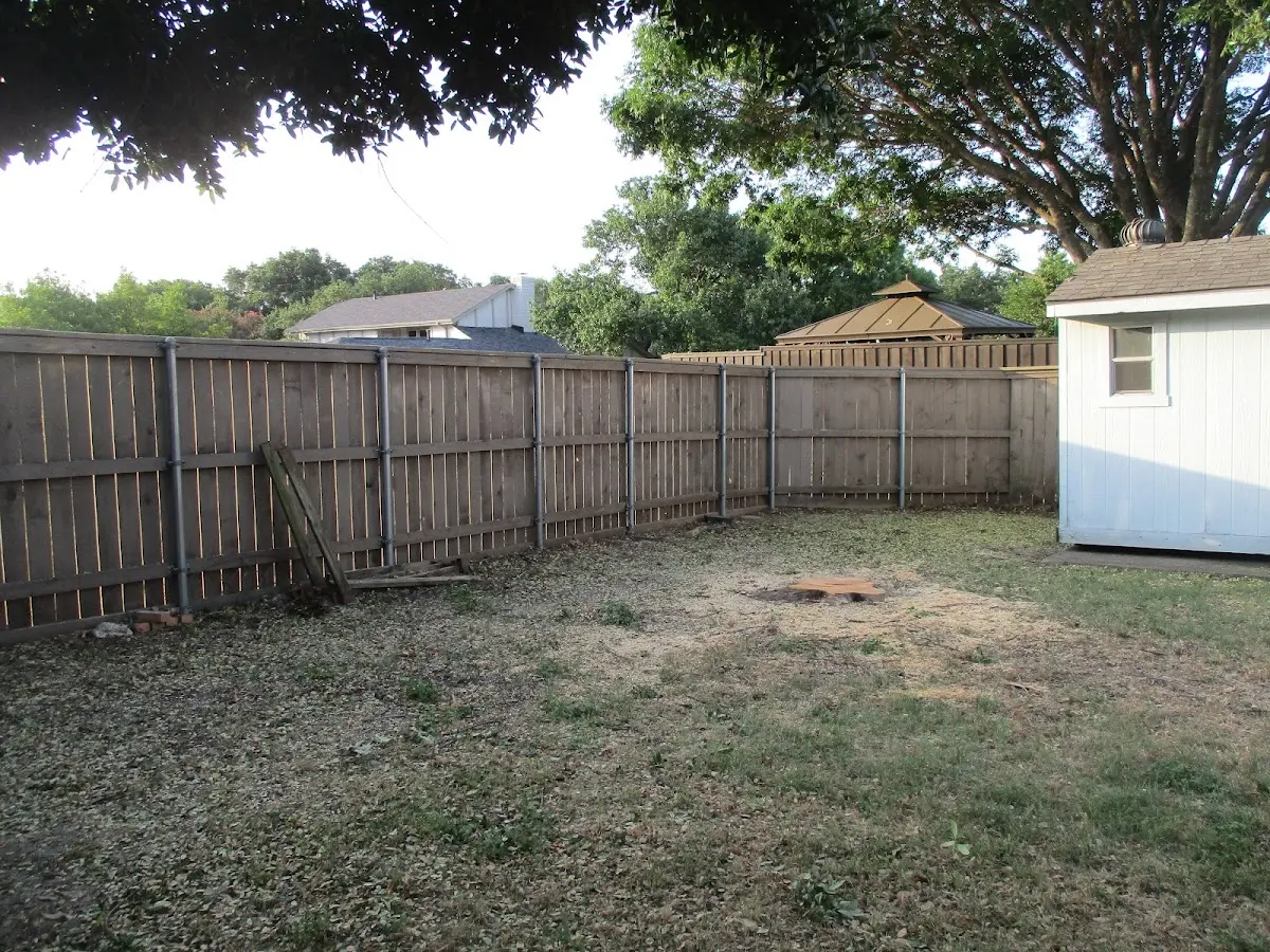 Cleared yard after professional tree removal in Mayville